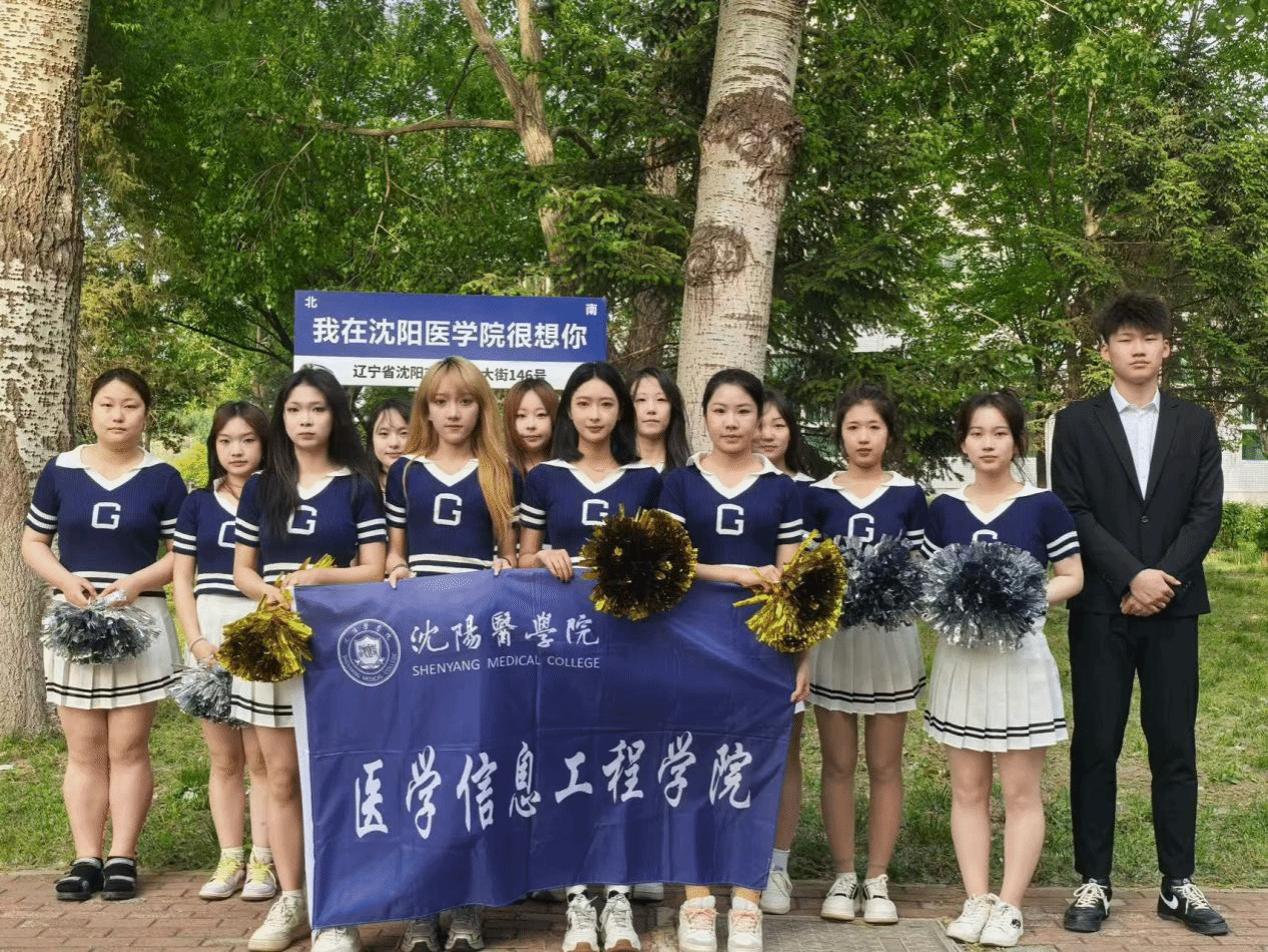 大赢家足球比分